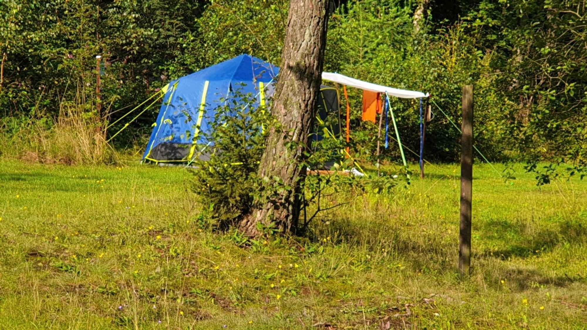 Harzklub Wanderheim Wildemann Exterior foto